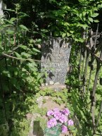 Дронова Анна Степановна