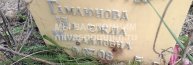 Гамаюнова Надежда Михайловна