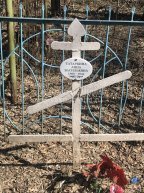 Татаркина Анна Васильевна
