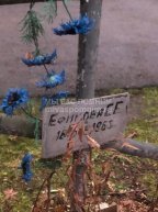 Ефимова Е.Е.