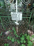 Абрамова М.С.