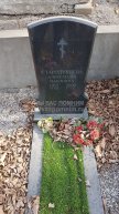 Стародубцева Александра Павловна