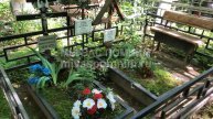 Фигурнова Алевтина Васильевна