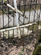 Желудкова Евдокия Васильевна