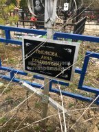 Лысикова Анна Владимировна