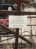 Гулин Владимир Васильевич