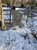 Левина Вера Дмитриевна