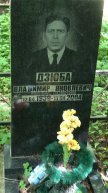 Дзюба Владимир Яковлевич