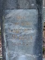 Башкина-Щукина Анна Георгиевна