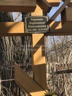 Таркова Апросинья Николаевна