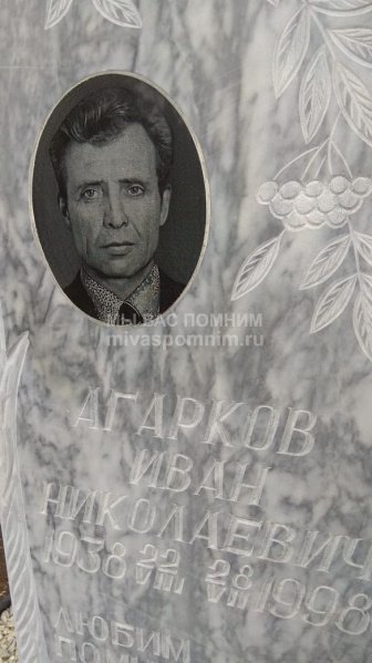 Агарков Иван Николаевич